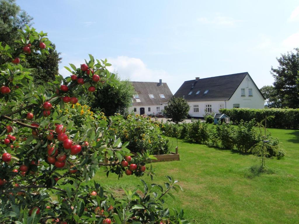 Ruhetgaard Holiday Apartment Ærøskøbing 객실 사진