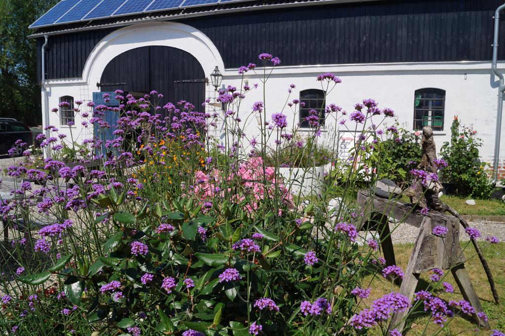 Ruhetgaard Holiday Apartment Ærøskøbing 객실 사진